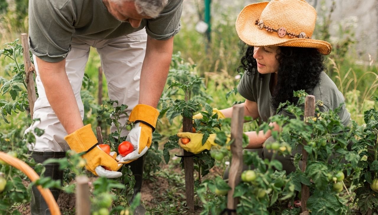 Microcrédito Rural: Como R$ 1 Bilhão Transformará o Norte e Centro-Oeste em 2025