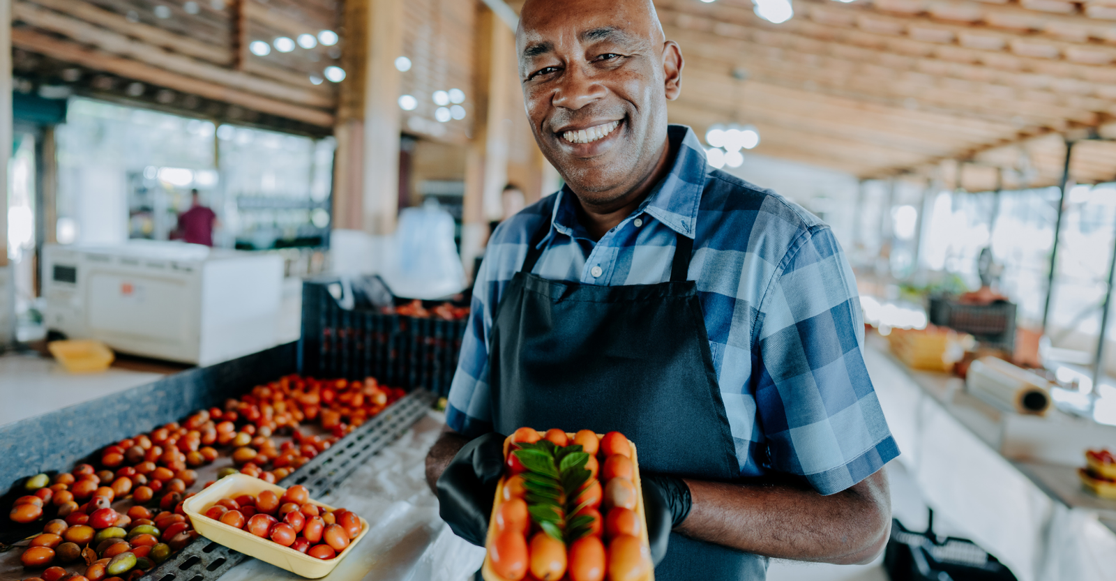 Empreendedorismo de Necessidade, empreendedorismo por oportunidade, qual a diferença de empreendedorismo por necessidade e por oportunidade,, exemplo de empreendedor por necessidade