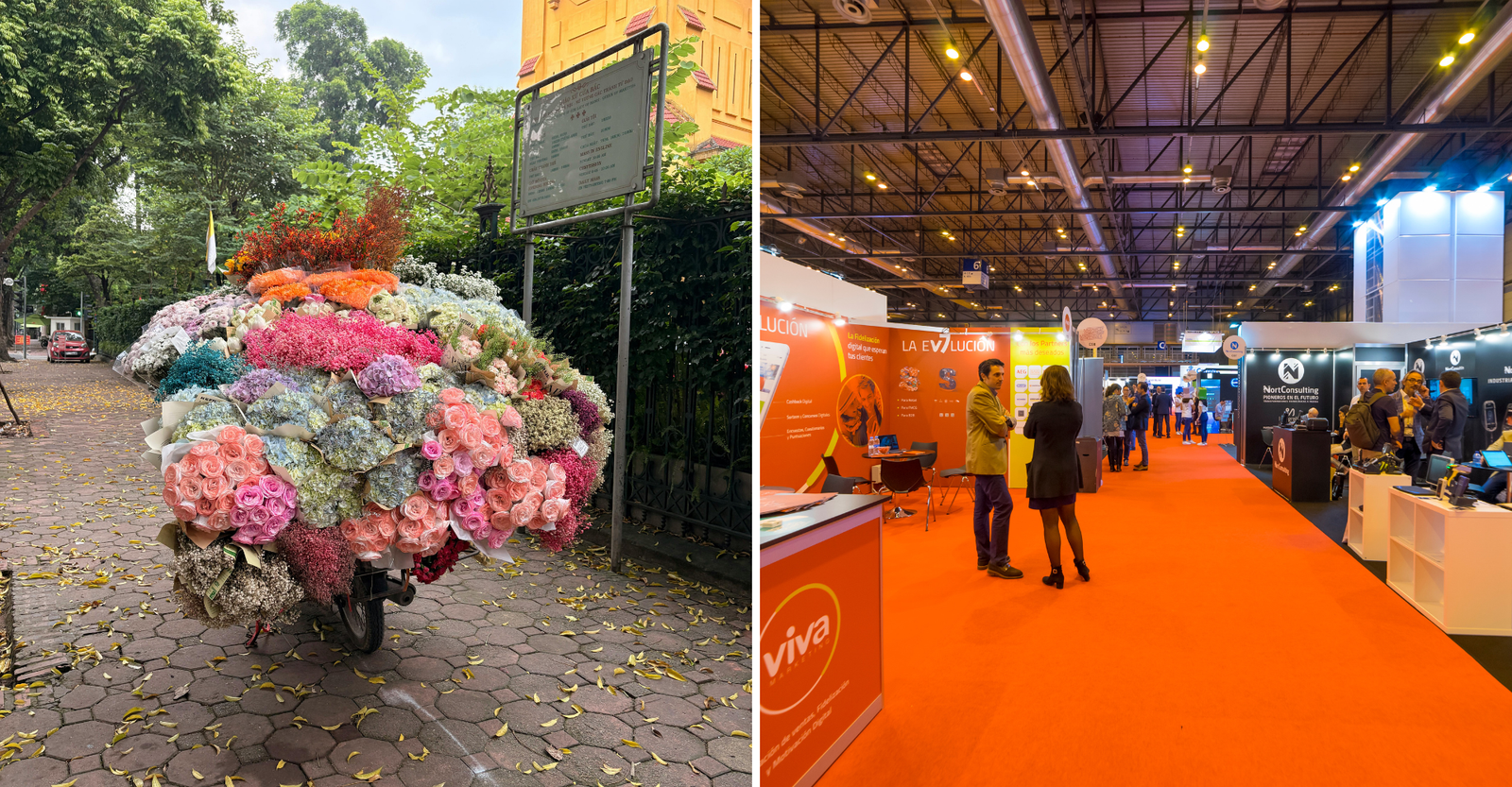 Empreendedorismo de Necessidade, empreendedorismo por oportunidade, qual a diferença de empreendedorismo por necessidade e por oportunidade,, exemplo de empreendedor por necessidade