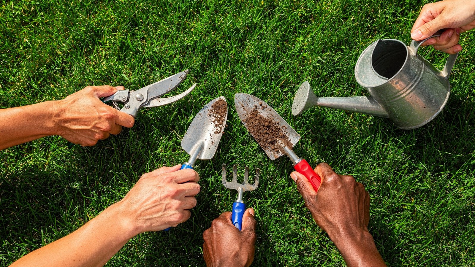 Close-up de várias mãos de diferentes etnias segurando diferentes ferramentas de jardinagem, incluindo uma tesoura de poda, uma pequena pá e um regador sobre um fundo de grama verde brilhante. A imagem apresenta uma paleta de cores vibrantes de alta saturação com iluminação natural. 