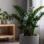 Ambiente interno com as melhores plantas para ambientes escuros, transformando o espaço em um oásis verde