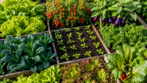 Horta orgânica vibrante e produtiva com adubo natural